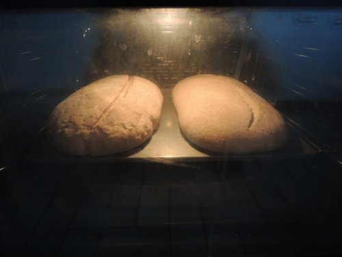 au four préchauffé à 260 °C, à l'étage inférieur un plat contient de l'eau au four préchauffé à 260 °C, à l'étage inférieur un plat contient de l'eau